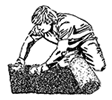 Ainsty Turfcare